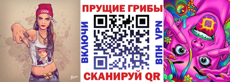 ОМГ ОМГ маркетплейс  где найти наркотики  Чёрмоз  Галлюциногенные грибы Psilocybe 